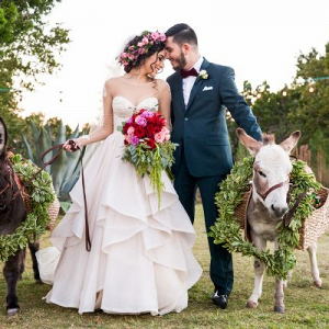 Bride and groom with donkeys
