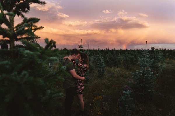 A Christmas Tree Farm Can Provide A Gorgeous Backdrop Year Round!