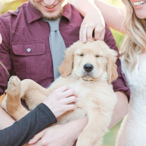 The Cutest Wedding Guest We've Ever Seen!