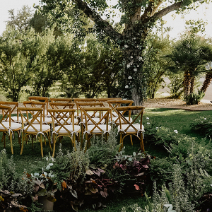 Intimate Backyard Wedding in Phoenix, Arizona