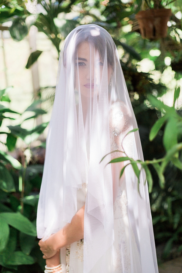 Bride with a Wedding Veil