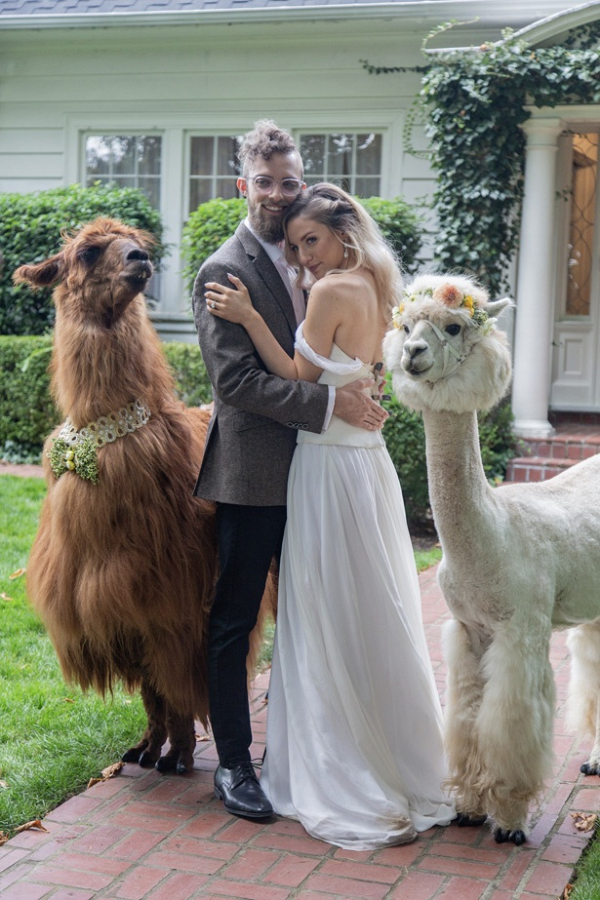 Llama wedding portrait