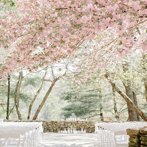 Beautiful ceremony setting under pink blossom trees
