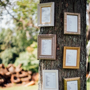 Framed Table Assignments Tree Seating Chart Festive DIY Backyard Wedding