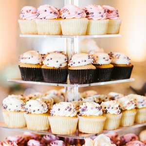 Six Tier Cupcake Display Sweet Ending Romantic Whimsical Pittsburgh Wedding