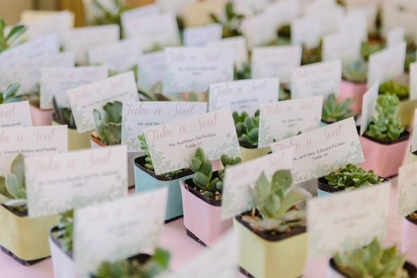 Miniature Potted Succulents Seating Cards Favors Shabby Chic Farm Wedding Pittsburgh