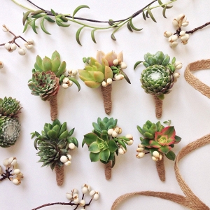 6 Assorted Double Succulent Boutonnieres with Tallow Berry