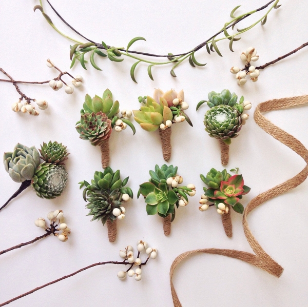 6 Assorted Double Succulent Boutonnieres with Tallow Berry