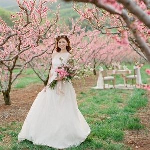 A Spring Bride in a Blossom-Filled Orchard