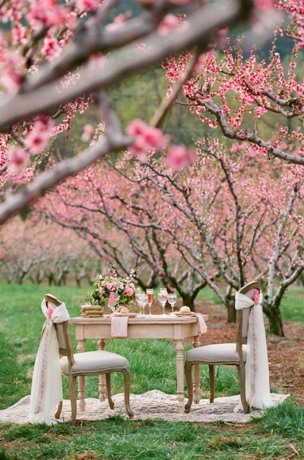 Spring Orchard Elopement Sweetheart Table