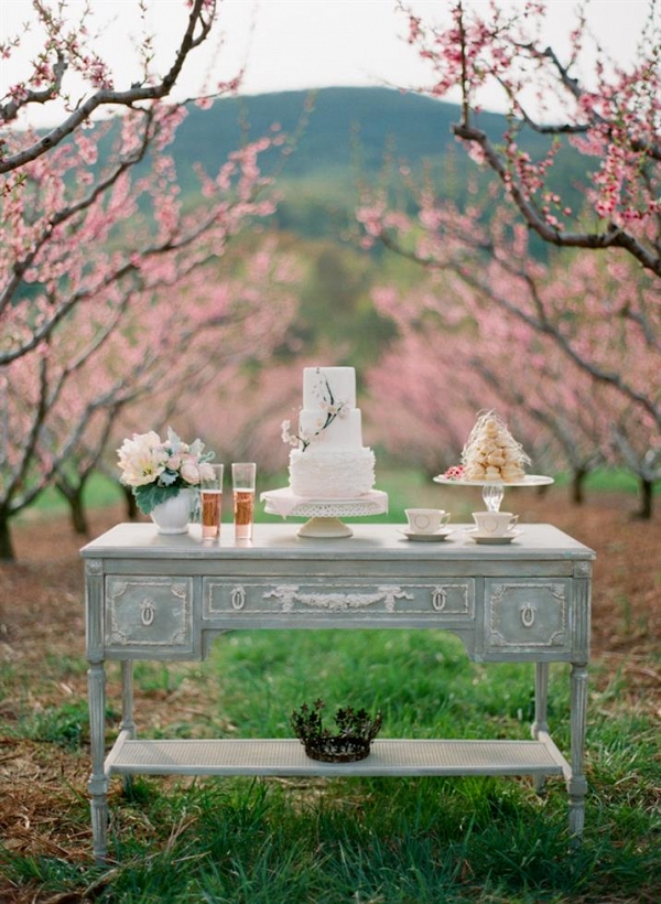 A delicious dessert table for a Spring Orchard Elopement