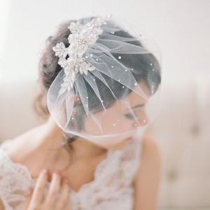 Crystal Lace Tulle Birdcage Veil by January Rose Bridal