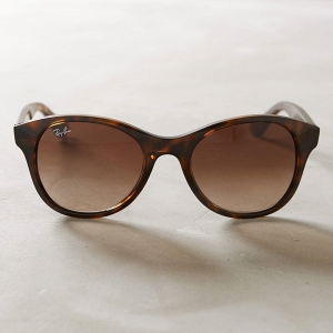 Rayban Original Wayfarer Sunglasses