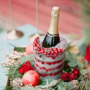 Cranberry Champagne Ice Bucket