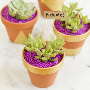 Make These DIY Succulent Favors