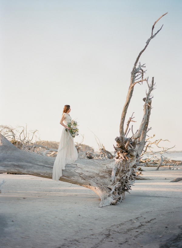 Bride On Driftwood Beach