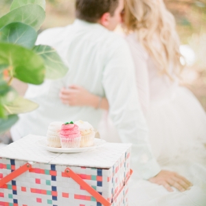 Sweet Cupcake Engagement