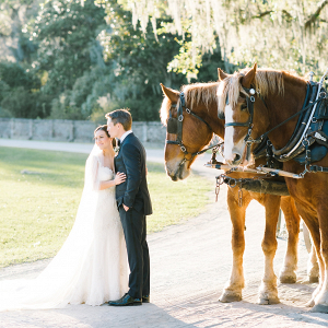 Bride and groom with horses