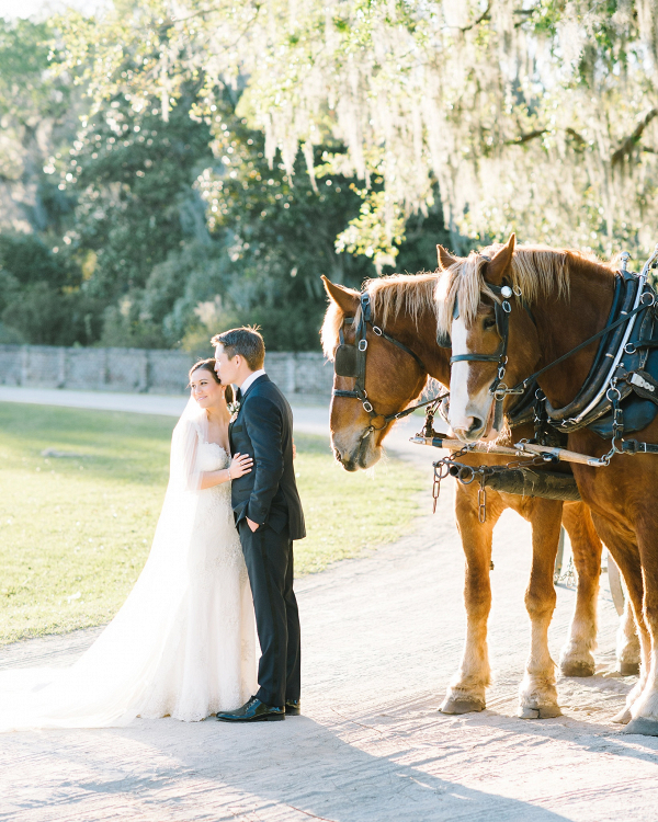 Bride and groom with horses