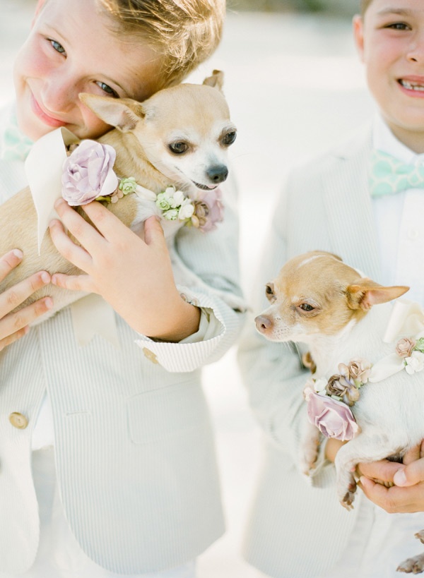 Ring bearers with pups