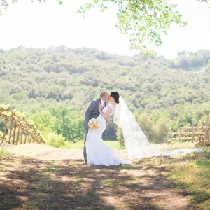 vineyard wedding photo
