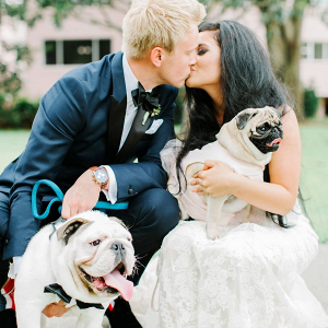 Bride and groom with dogs