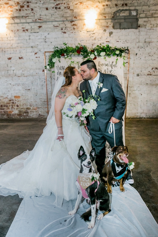 Bride and groom with their dogs