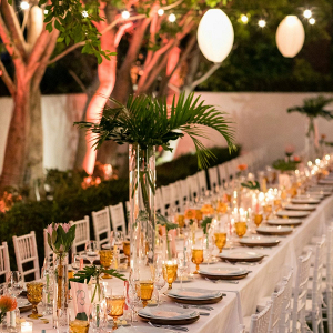 Tropical wedding reception with palm centerpieces