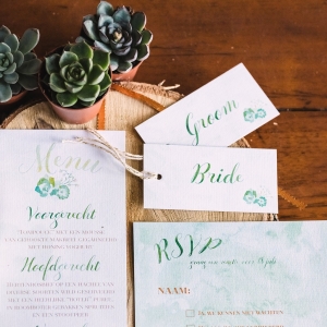 Watercolor invitations with succulents