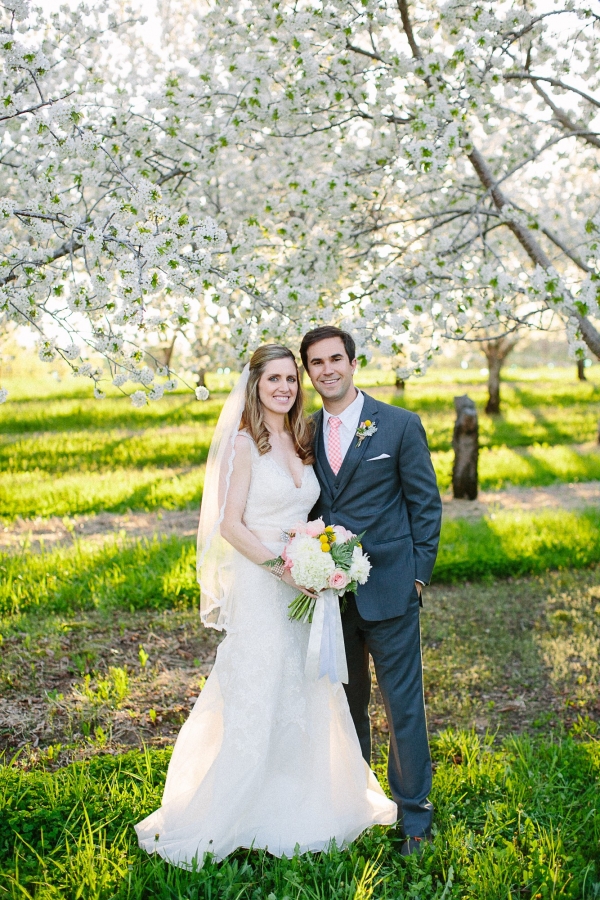 Bride And Groom In Cherry Tree Orchard