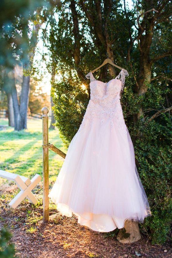 Pink Wedding Dress
