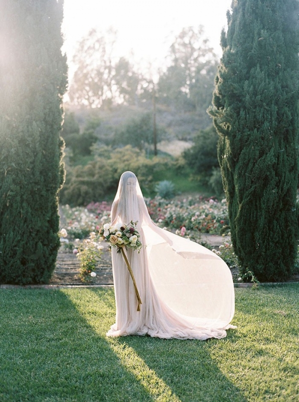 Ethereal Veiled Bridal Portraits in a Spring Rose Garden