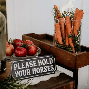 Boho Ranch Wedding with Equestrian Inspiration 30