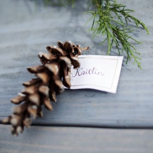 Rustic-Winter-Elopement-pine-cone-place-card
