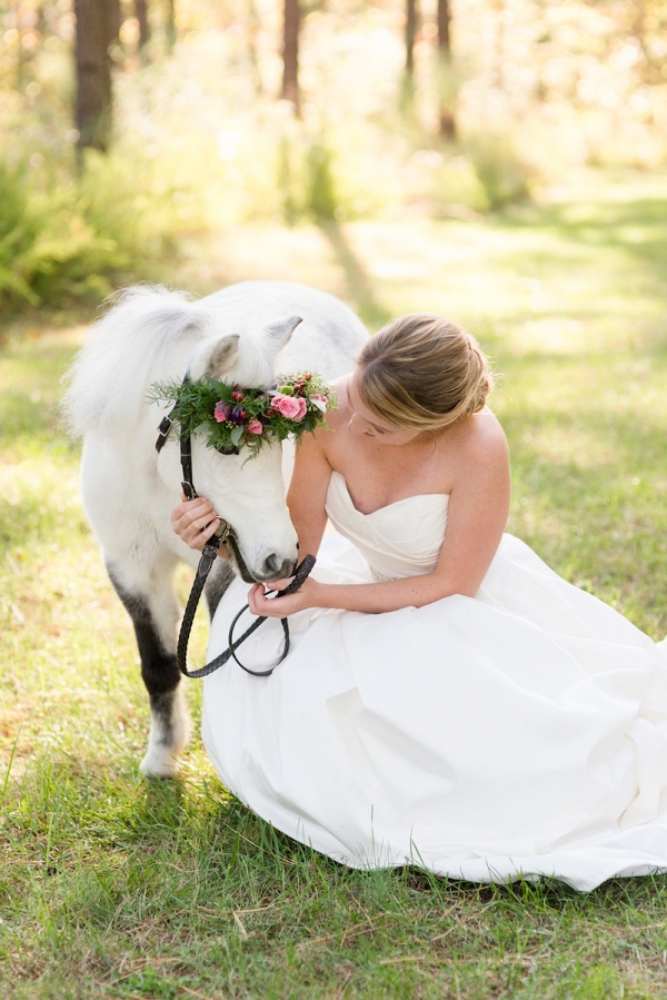 mini-horse-wedding-portrait