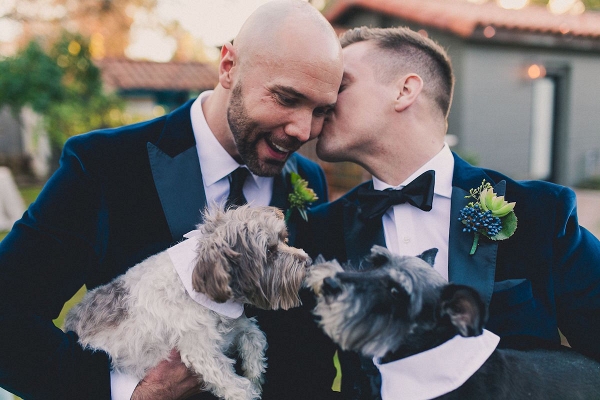 Grooms with Dogs