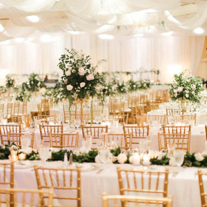 White and gold reception