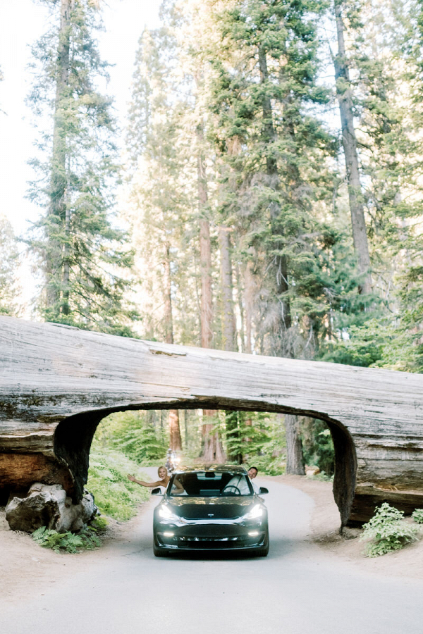 Sequoia National Park Wedding Elopement