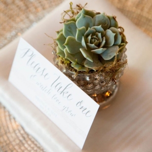 Adorable mini succulent wedding favors in mercury glass pots