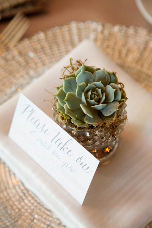 Adorable mini succulent wedding favors in mercury glass pots