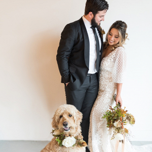 Modern wedding couple with dog in floral collar