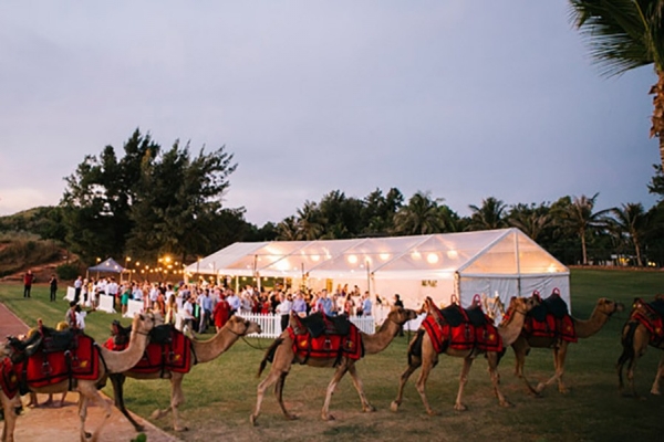 Marquee On Cable Beach With Camels