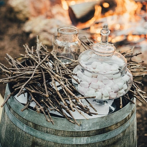 Bonfie And Marshmallows At Wedding
