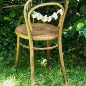 Carnation Chair Garland