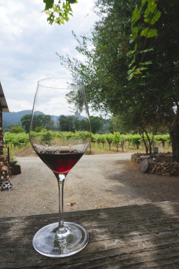 Wine Tasting In The Napa Valley