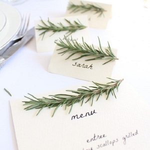 Rosemary Themed Menu and Place Cards