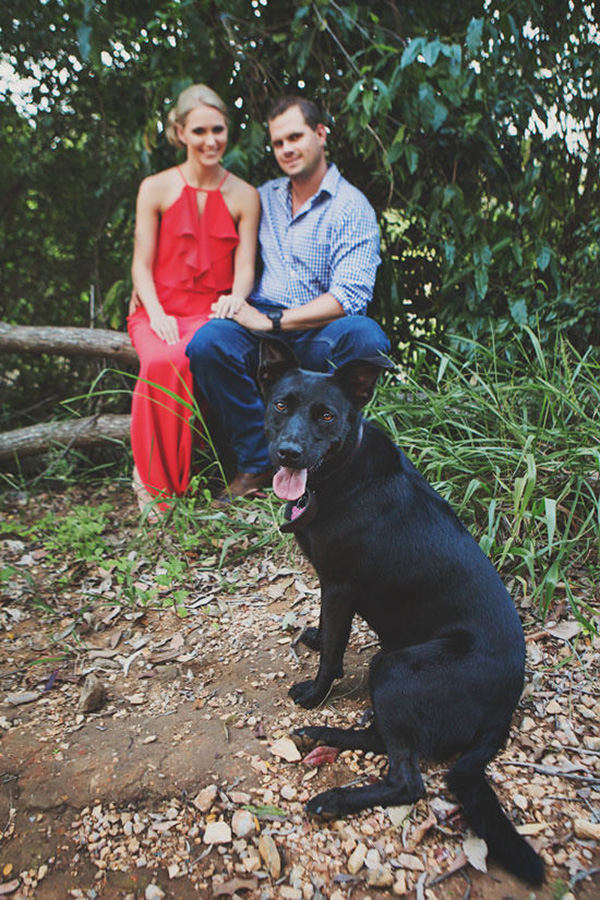 Dog In Engagement Photos
