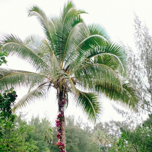 Palm Tree With Floral Garland
