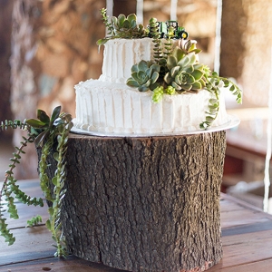Cake with Succulent Decoration