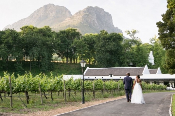 South African vineyard venue